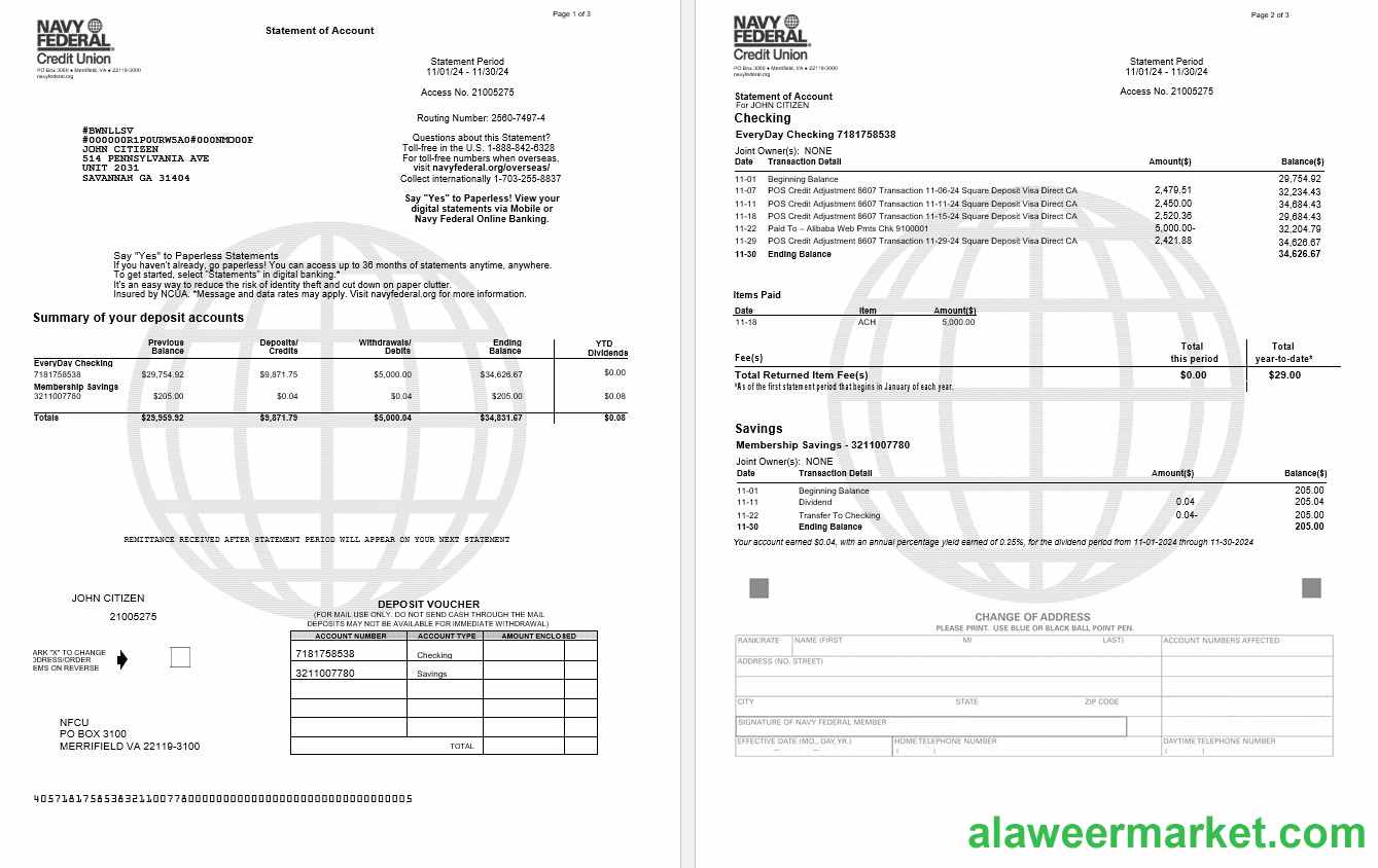 USA Navy Federal bank statement, 3 pages